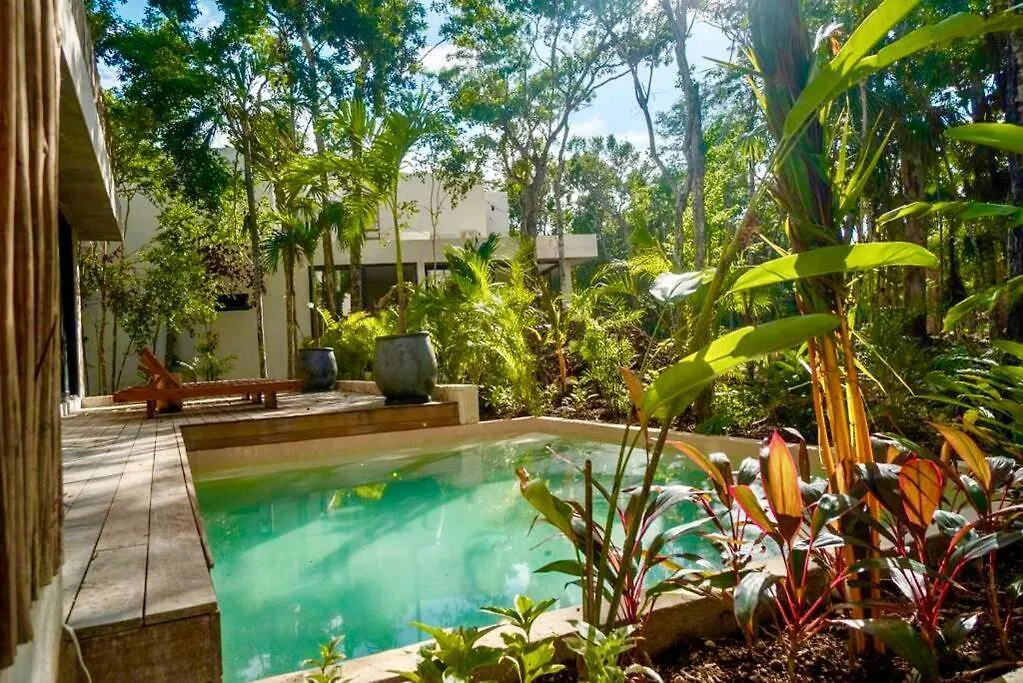 Villa Xuncari In The Heart Of The Jungle Tulum